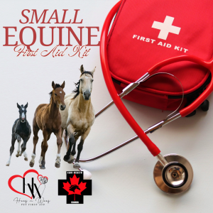 Equine First Aid Kit – Small