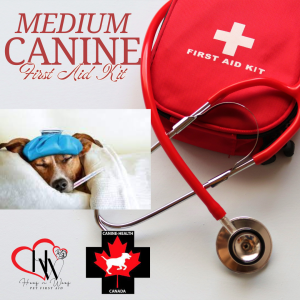 K9 First Aid Kit – Medium