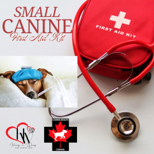 K9 First Aid Kit – SMALL