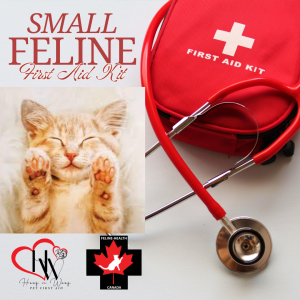 Feline First Aid Kit – Small